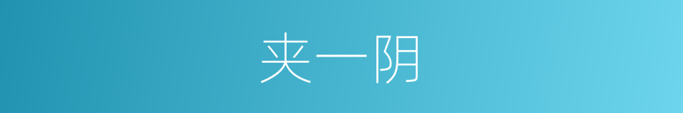 夹一阴的同义词