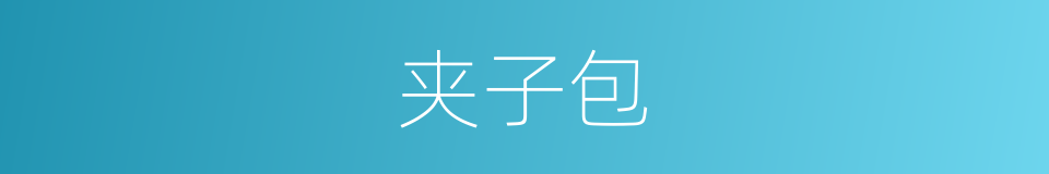 夹子包的同义词