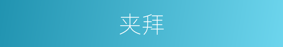 夹拜的同义词