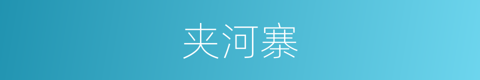 夹河寨的同义词