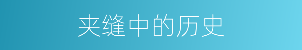 夹缝中的历史的同义词