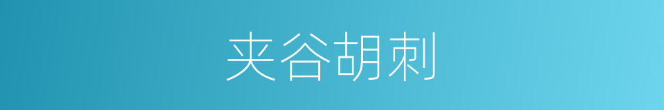 夹谷胡刺的同义词