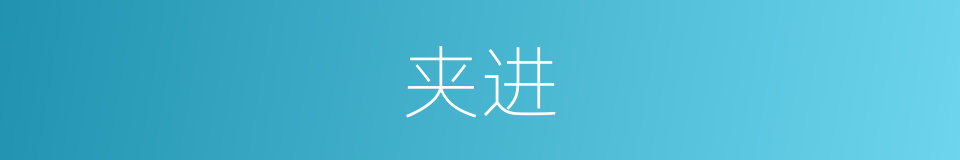 夹进的同义词