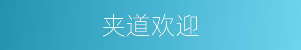 夹道欢迎的意思