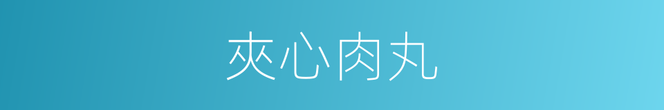 夾心肉丸的同義詞