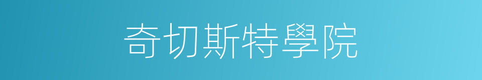 奇切斯特學院的同義詞