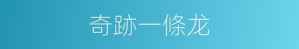 奇跡一條龙的同義詞