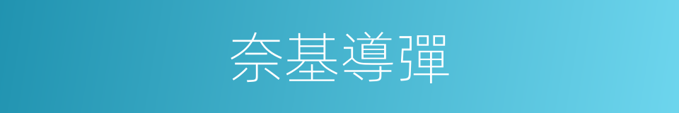 奈基導彈的同義詞