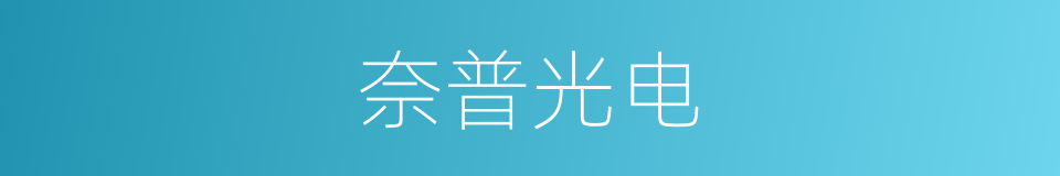 奈普光电的同义词