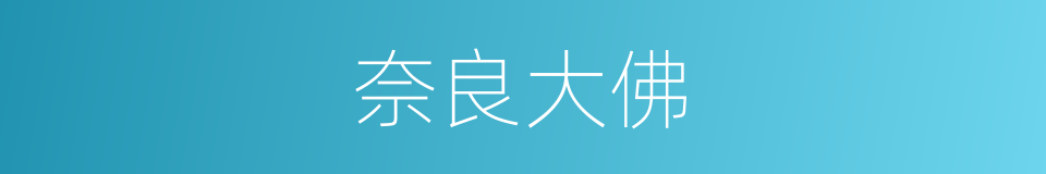 奈良大佛的同义词