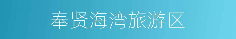 奉贤海湾旅游区的同义词