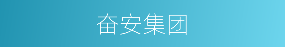 奋安集团的同义词