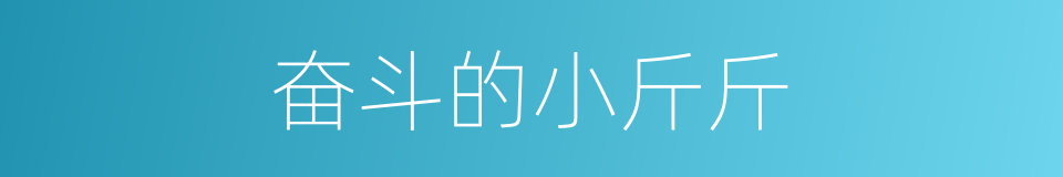 奋斗的小斤斤的同义词