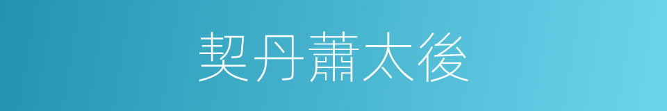 契丹蕭太後的同義詞
