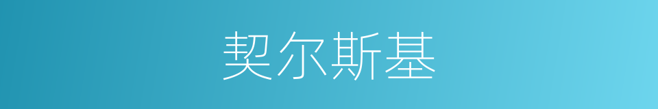 契尔斯基的同义词