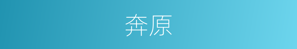 奔原的同义词