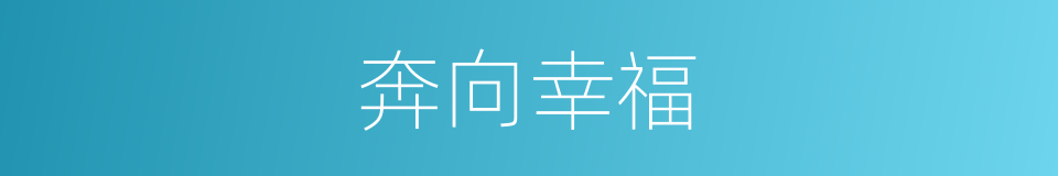 奔向幸福的同义词