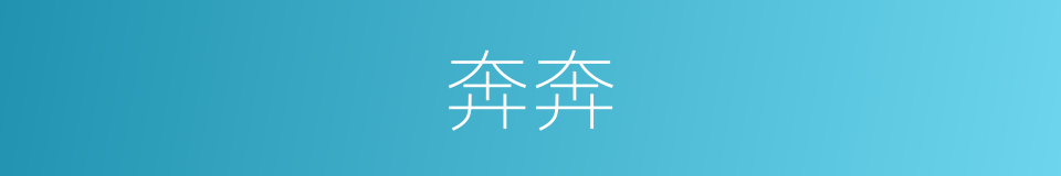奔奔的意思