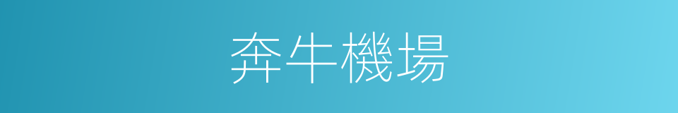 奔牛機場的同義詞