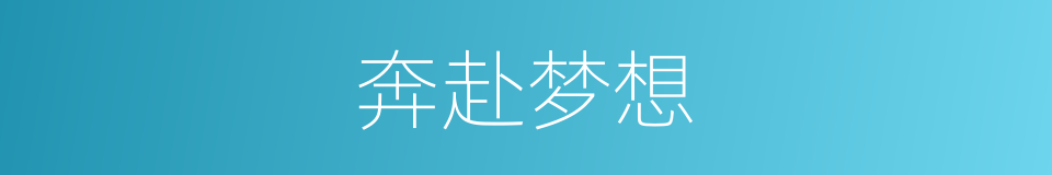 奔赴梦想的同义词