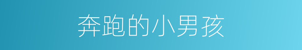 奔跑的小男孩的同义词