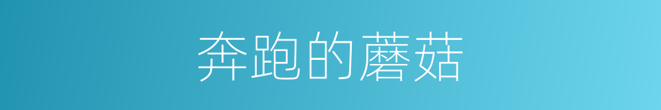 奔跑的蘑菇的同义词
