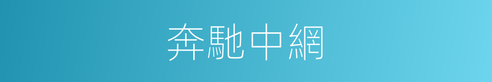 奔馳中網的同義詞