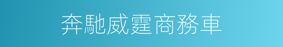 奔馳威霆商務車的同義詞