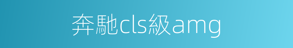 奔馳cls級amg的同義詞