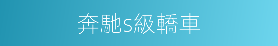 奔馳s級轎車的同義詞
