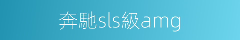 奔馳sls級amg的同義詞
