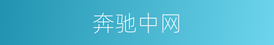 奔驰中网的同义词