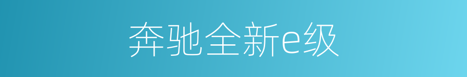 奔驰全新e级的同义词