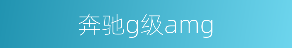 奔驰g级amg的同义词