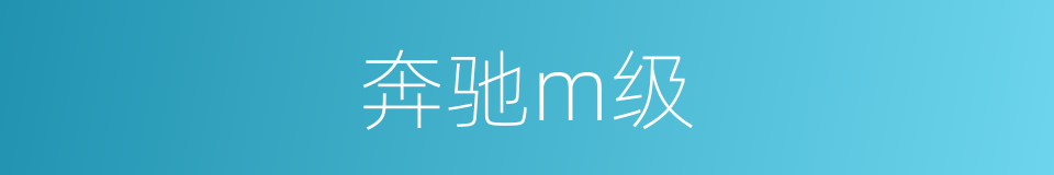 奔驰m级的同义词
