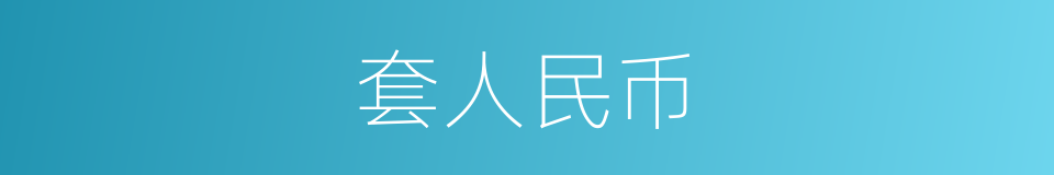 套人民币的同义词