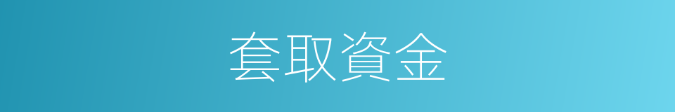 套取資金的同義詞