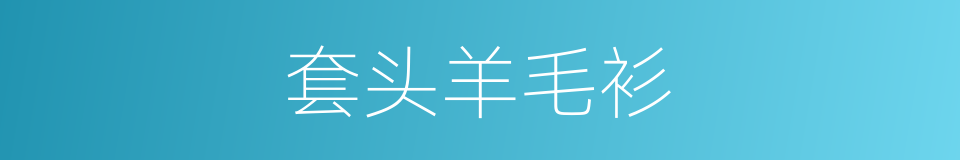 套头羊毛衫的同义词