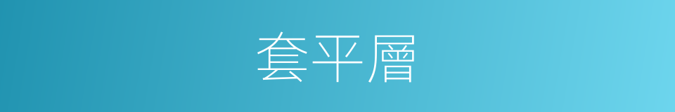 套平層的同義詞