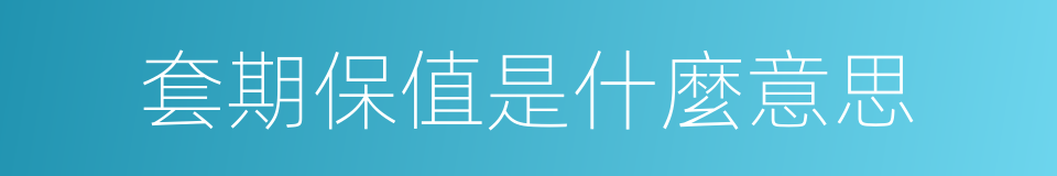 套期保值是什麼意思的同義詞