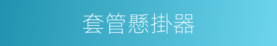 套管懸掛器的同義詞