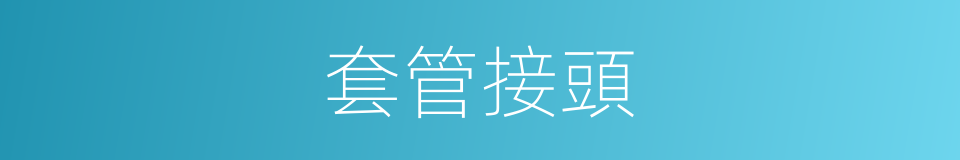 套管接頭的同義詞