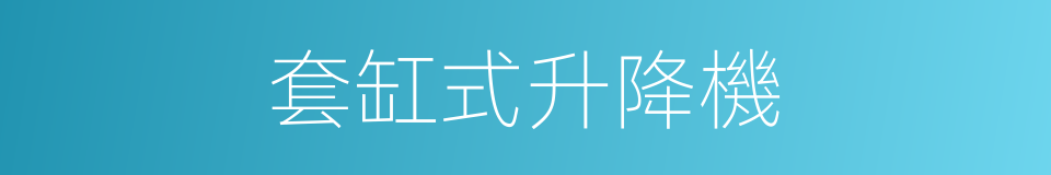 套缸式升降機的同義詞