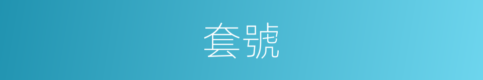 套號的同義詞