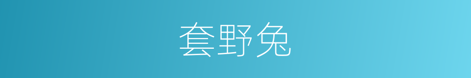 套野兔的同义词