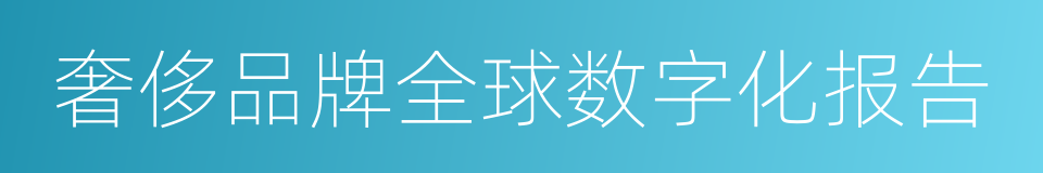奢侈品牌全球数字化报告的同义词
