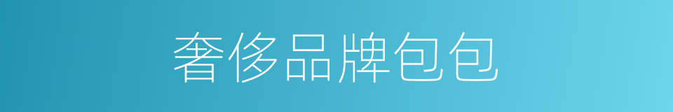 奢侈品牌包包的同义词