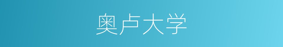 奥卢大学的同义词