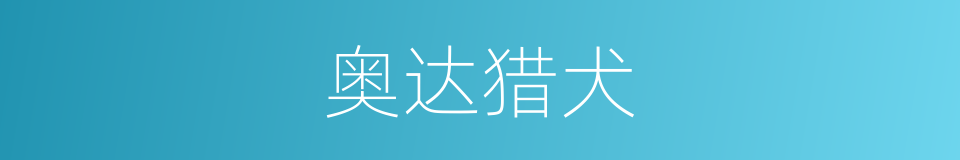 奥达猎犬的同义词