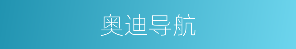 奥迪导航的同义词